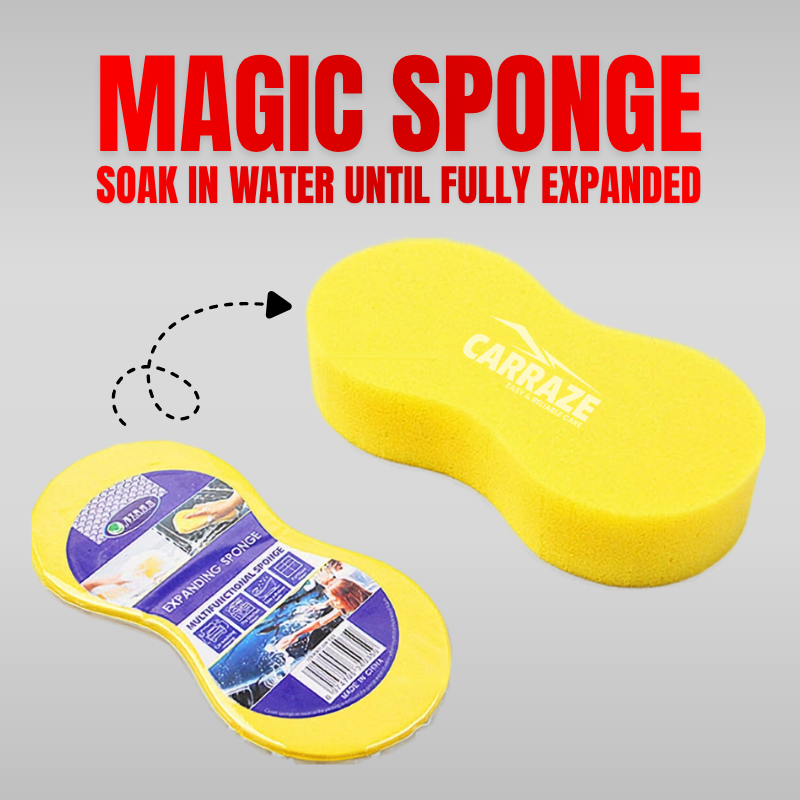 Magical Sponge